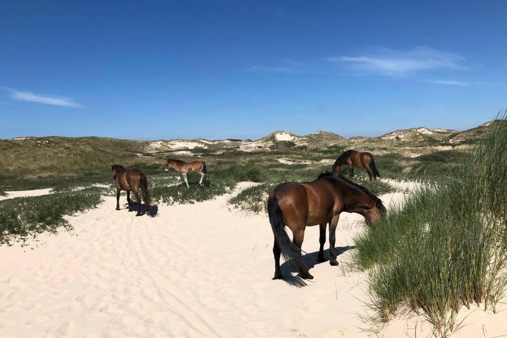 Villa Klein Geluk Egmond aan Zee Buitenkant foto