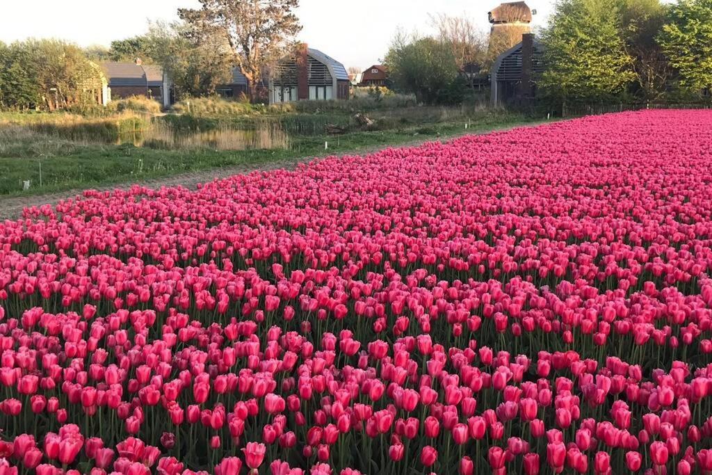 Villa Klein Geluk Egmond aan Zee Buitenkant foto