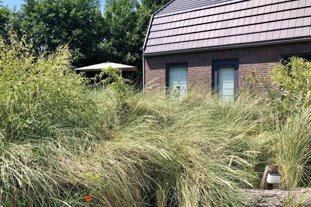 Villa Klein Geluk Egmond aan Zee Buitenkant foto